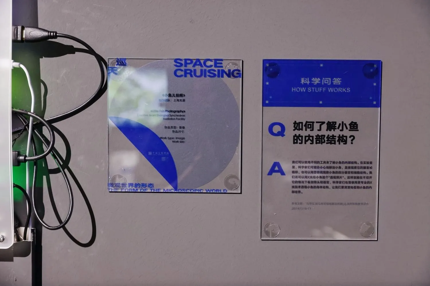 斑马鱼互动科普